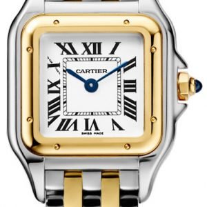 Cartier Panthere De Cartier W2pn0006 Kello Hopea / 18k