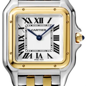 Cartier Panthere De Cartier W2pn0007 Kello Hopea / 18k