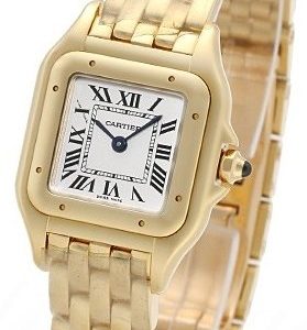 Cartier Panthere De Cartier Wgpn0008 Kello Hopea / 18k