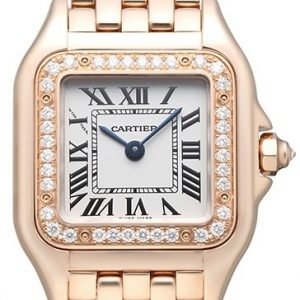 Cartier Panthere De Cartier Wjpn0008 Kello Hopea / 18k