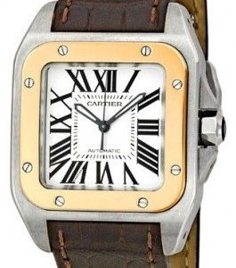 Cartier Santos Santos 100 W20107x7 Kello Hopea / Nahka