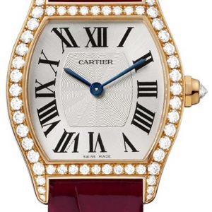 Cartier Tortue Wa501006 Kello Hopea / Nahka