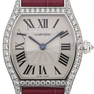 Cartier Tortue Wa501007 Kello Hopea / Nahka