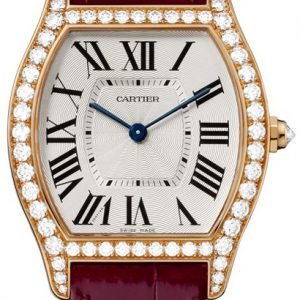 Cartier Tortue Wa501008 Kello Hopea / Nahka