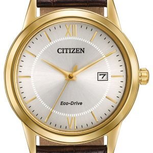 Citizen Aw1232-04a Kello Hopea / Nahka