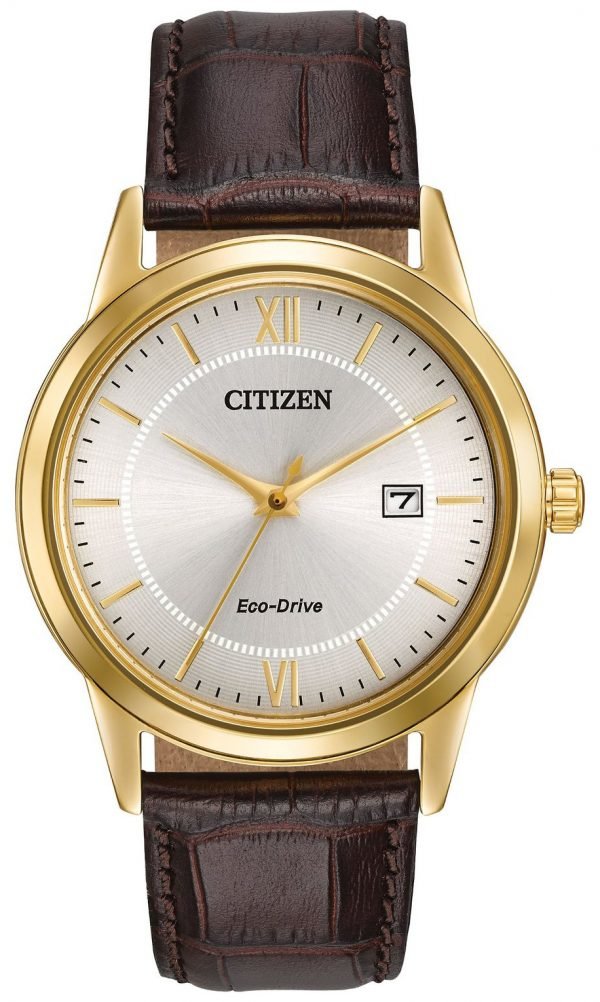 Citizen Aw1232-04a Kello Hopea / Nahka