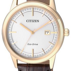 Citizen Aw1233-01a Kello Hopea / Nahka