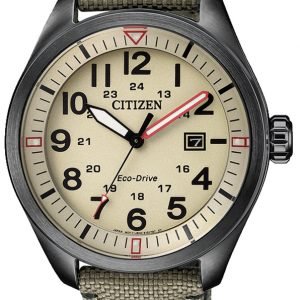 Citizen Aw5005-12x Kello Beige / Nahka