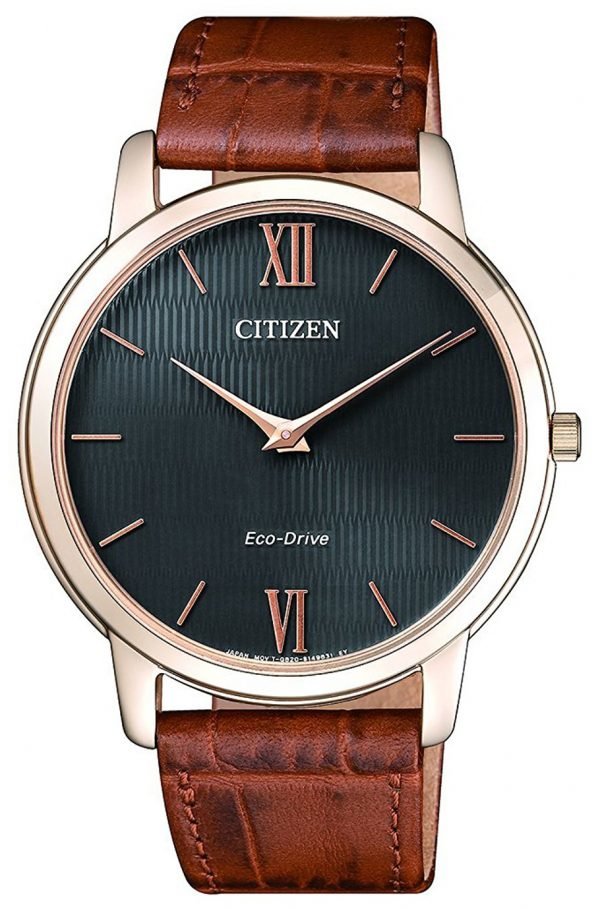 Citizen Eco Drive 180 Ar1133-15h Kello Harmaa / Nahka