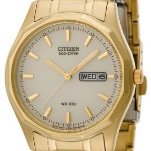 Citizen Eco Drive 180 Bm8432-53p Kello