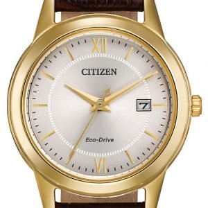 Citizen Fe1082-05a Kello Hopea / Nahka