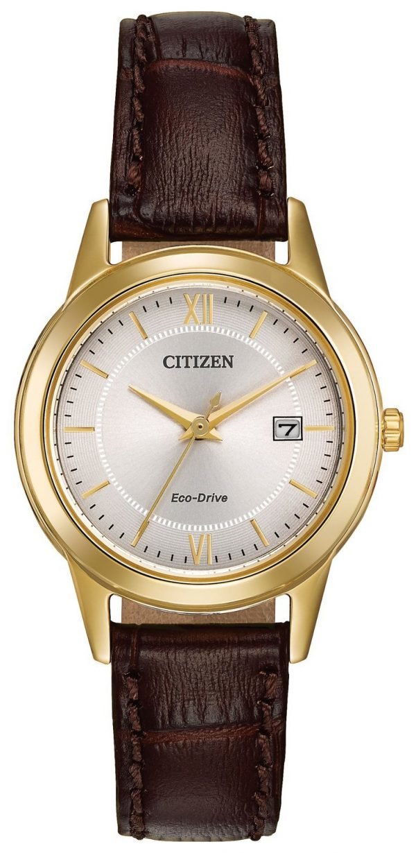 Citizen Fe1082-05a Kello Hopea / Nahka