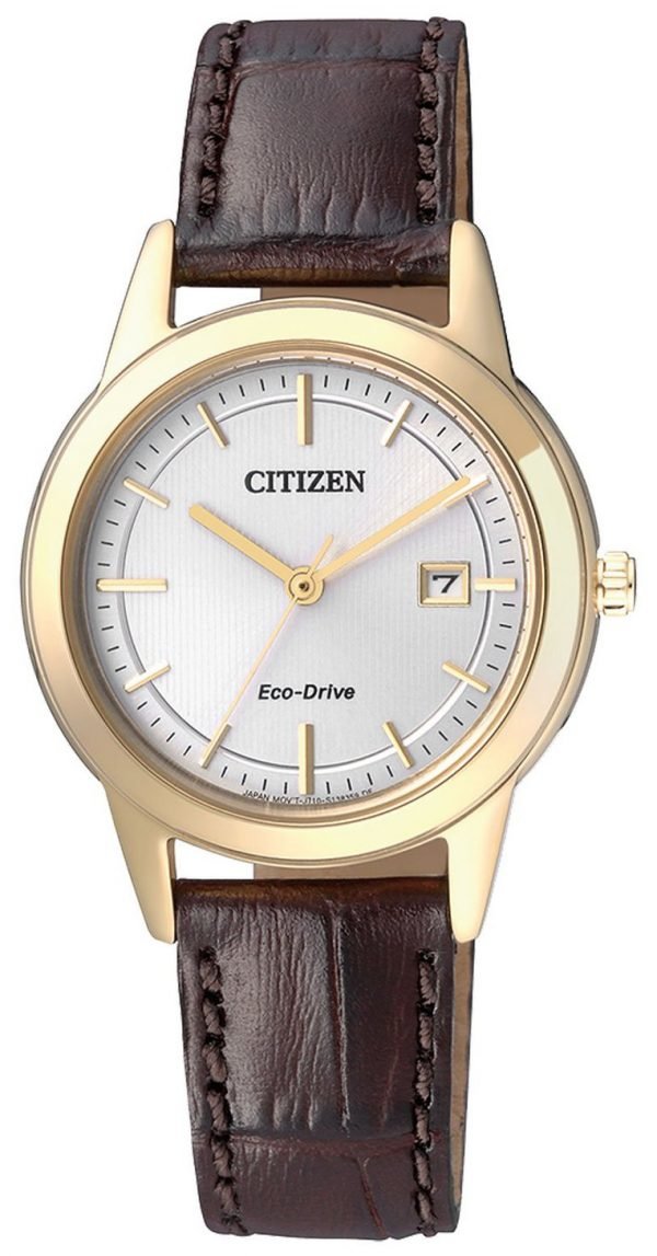 Citizen Fe1083-02a Kello Hopea / Nahka