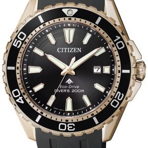 Citizen Promaster Bn0193-17e Kello Musta / Kumi