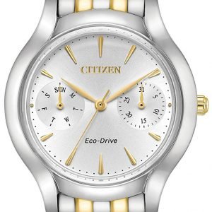 Citizen Silhouette Fd4014-56a Kello Hopea / Kullansävytetty