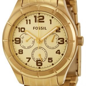 Fossil Bq1409 Kello Samppanja / Kullansävytetty Teräs