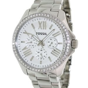 Fossil Sport Am4481 Kello Hopea / Teräs