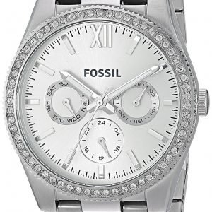 Fossil Sport Es4314 Kello Hopea / Teräs