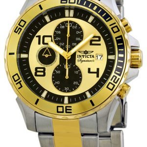 Invicta Signature 7391 Kello Monivärinen / Kullansävytetty