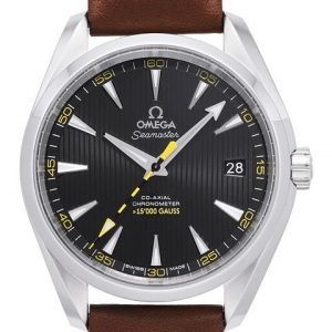 Omega Seamaster Aqua Terra 150m Co-Axial 41.5mm 231.12.42.21.01.001 Kello