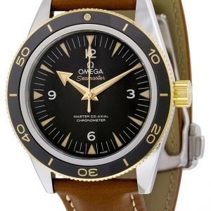 Omega Seamaster Diver 300m Master Co-Axial 41mm 233.22.41.21.01.001 Kello