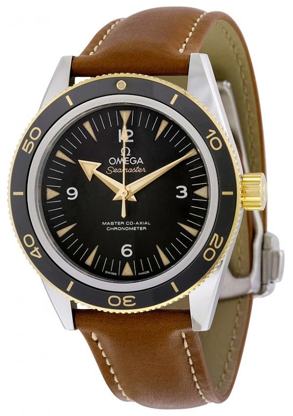 Omega Seamaster Diver 300m Master Co-Axial 41mm 233.22.41.21.01.001 Kello