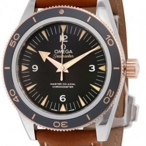 Omega Seamaster Diver 300m Master Co-Axial 41mm 233.22.41.21.01.002 Kello