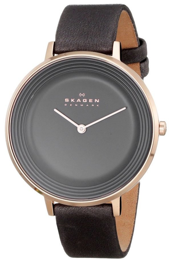 Skagen Ditte Skw2216 Kello Harmaa / Nahka