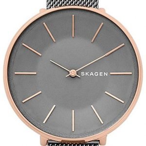 Skagen Skw2689 Kello Harmaa / Teräs