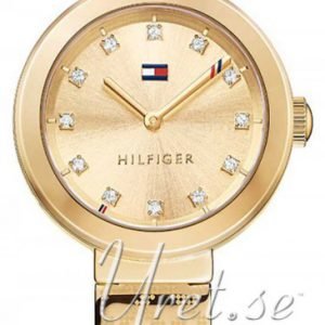 Tommy Hilfiger Rose 1781720 Kello Kullattu / Kullansävytetty