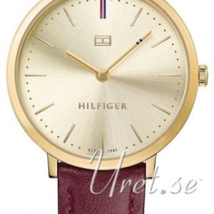 Tommy Hilfiger Ultra Slim 1781692 Kello Samppanja / Nahka